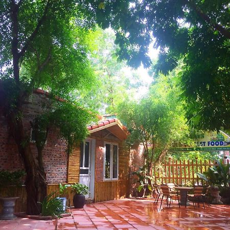 Tam Coc Green Fields Homestay Ninh Binh Luaran gambar