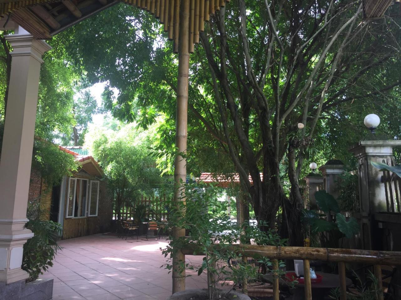 Tam Coc Green Fields Homestay Ninh Binh Luaran gambar