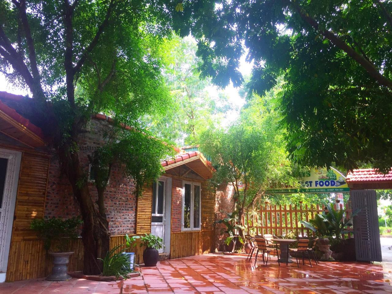 Tam Coc Green Fields Homestay Ninh Binh Luaran gambar